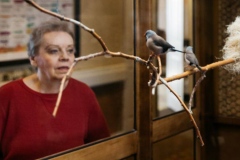 Sunny Vista Living Center Long Term Care