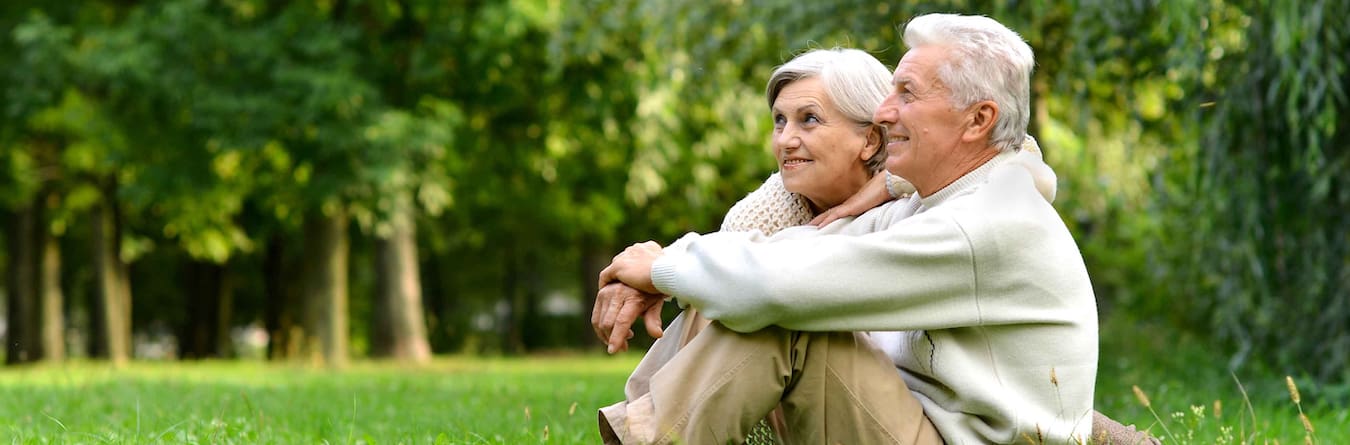 Elderly couple sitting on green grass in the summer park