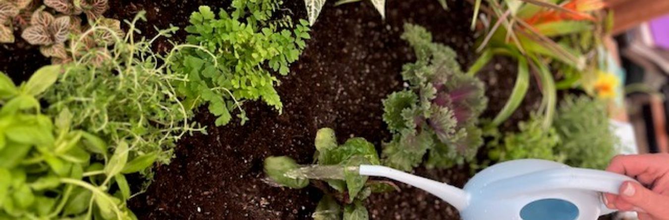 Horticultural Therapy at Someren Glen